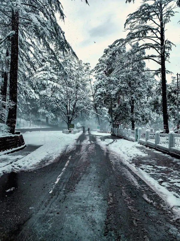 Snowfall, Ranikhet Uttarakhand